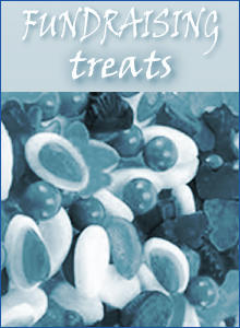 Fundraiser Treats-b