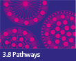 3.8 Pathways