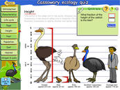 Vertical number line divided into ninths used to measure the relative height of birds and a human as a fraction.