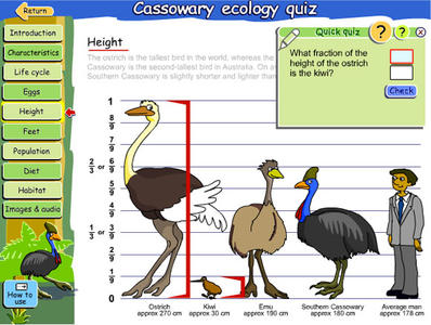 Vertical number line divided into ninths used to measure the relative height of birds and a human as a fraction.